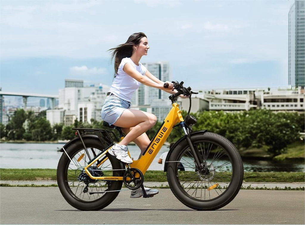 ENGWE E26 ST 26" Electric Bike 250W 48V 16AH E-Bike Commuter Mountain Bicycle