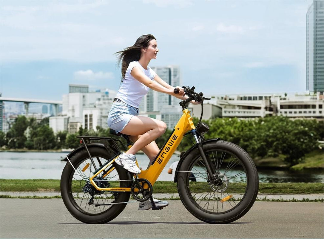 ENGWE E26 ST 26" Electric Bike 250W 48V 16AH E-Bike Commuter Mountain Bicycle