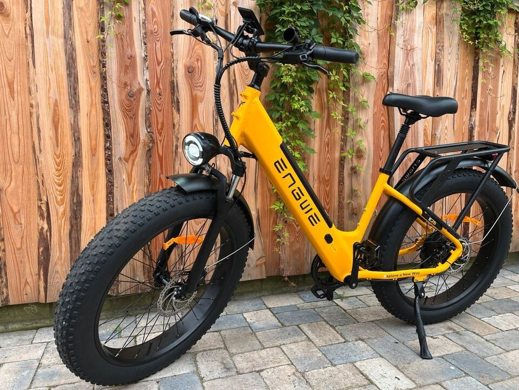 ENGWE E26 ST 26" Electric Bike 250W 48V 16AH E-Bike Commuter Mountain Bicycle