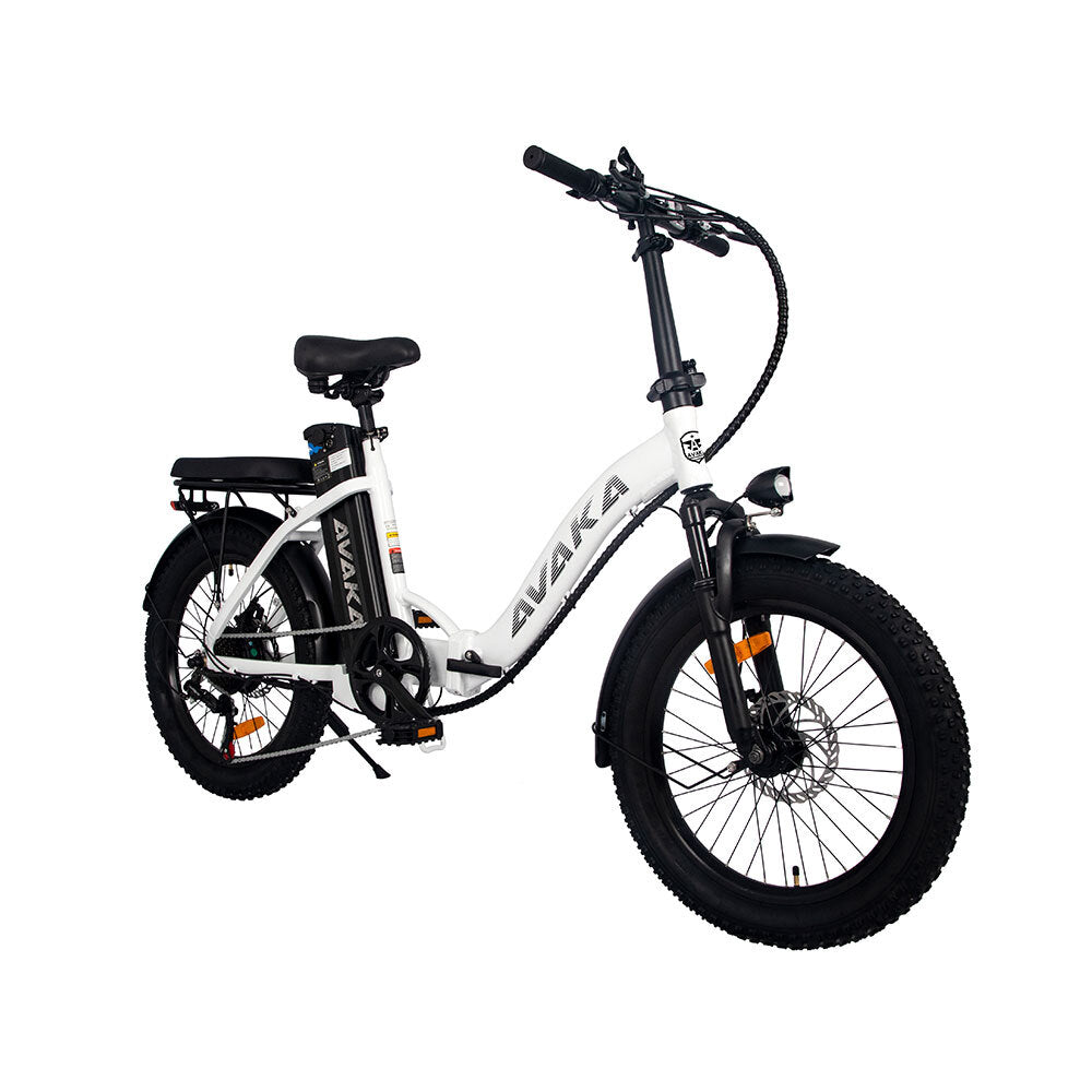 AVAKA BZ20PLUS E Bike Spoked Wheel 41Nm 48V 18.2AH 20''Electric Bike Max 43 Mile