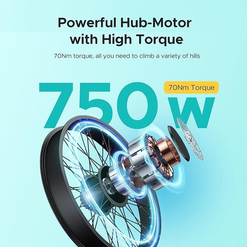 ENGWE E26 ST 26" Electric Bike 250W 48V 16AH E-Bike Commuter Mountain Bicycle
