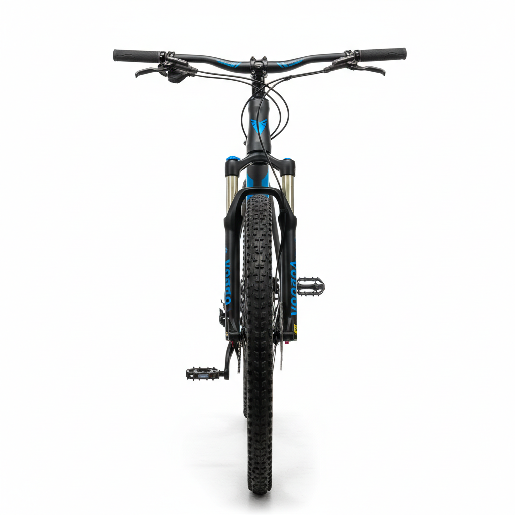 Voodoo eBikes